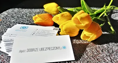 UBEZPIECZENIA Magdalena Parzych